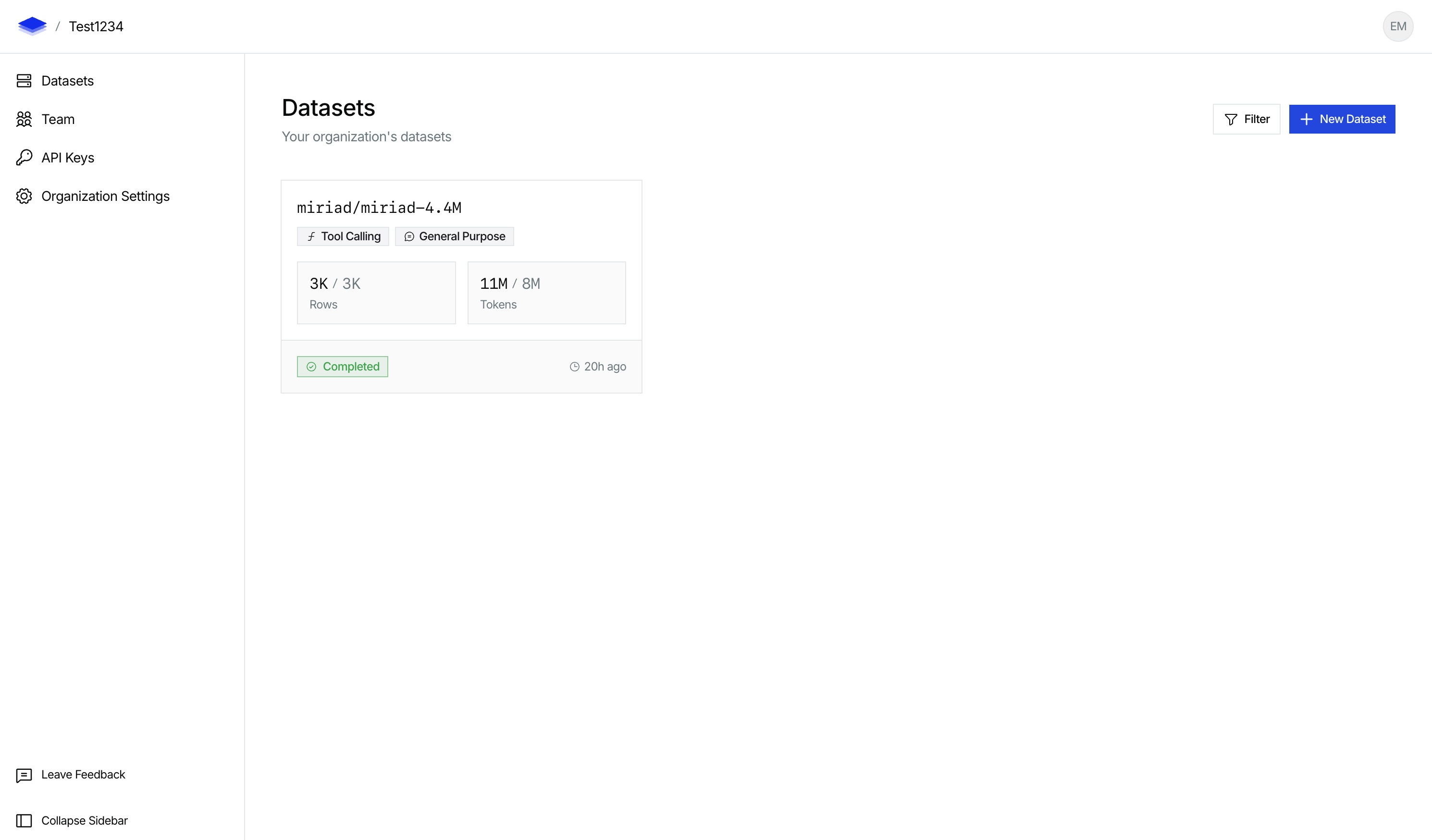 Datasets page with completed dt